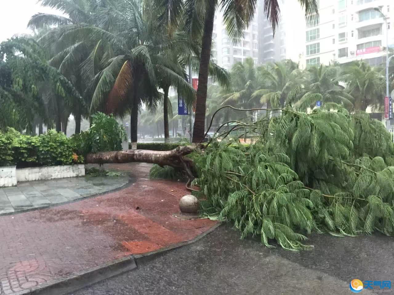 8号台风来袭 海口持续暴雨积水实况