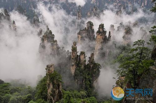 張家界旅遊必去景點:張家界國家森林公園