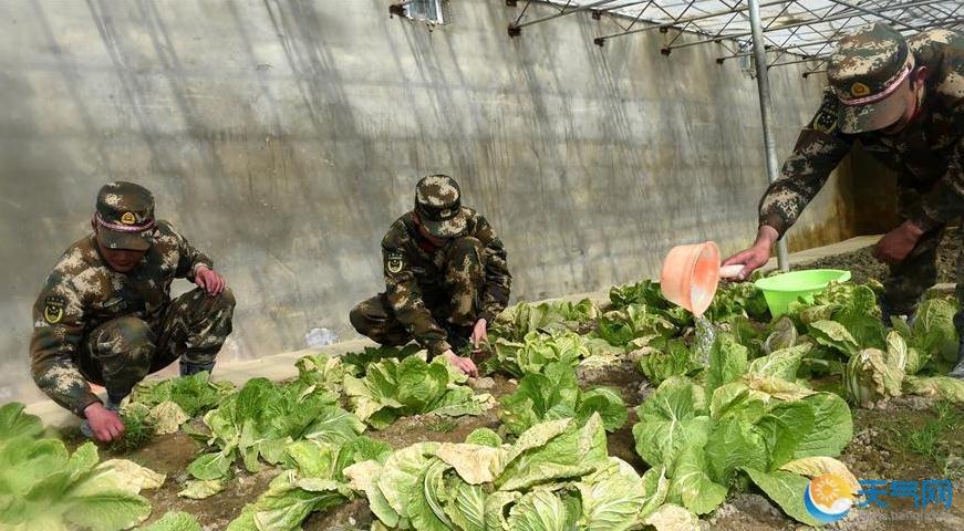 8位边防官兵驻守在西藏最高乡 缺氧低温海拔高