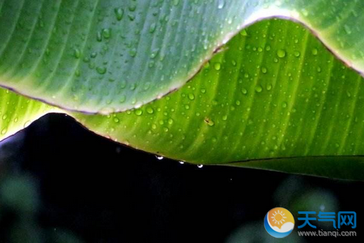 梅雨季节什么时候结束(梅雨季节什么时候结束大连)