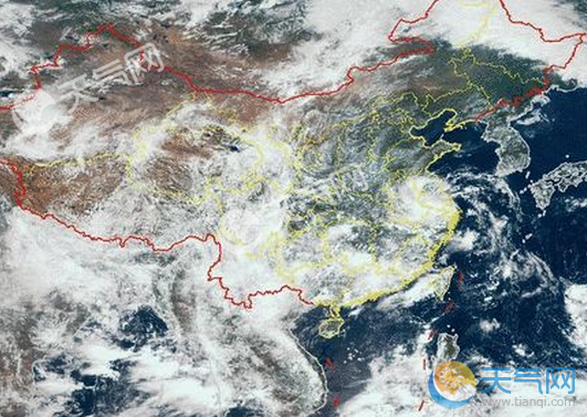 上海台风路径实时发布系统 云雀登陆上海半个